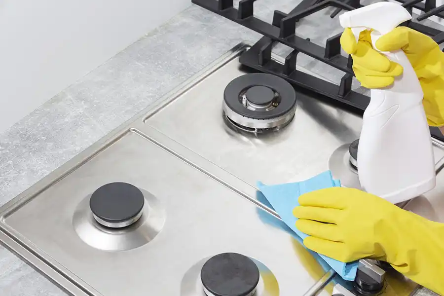 Mendez Cleaning Services's other services